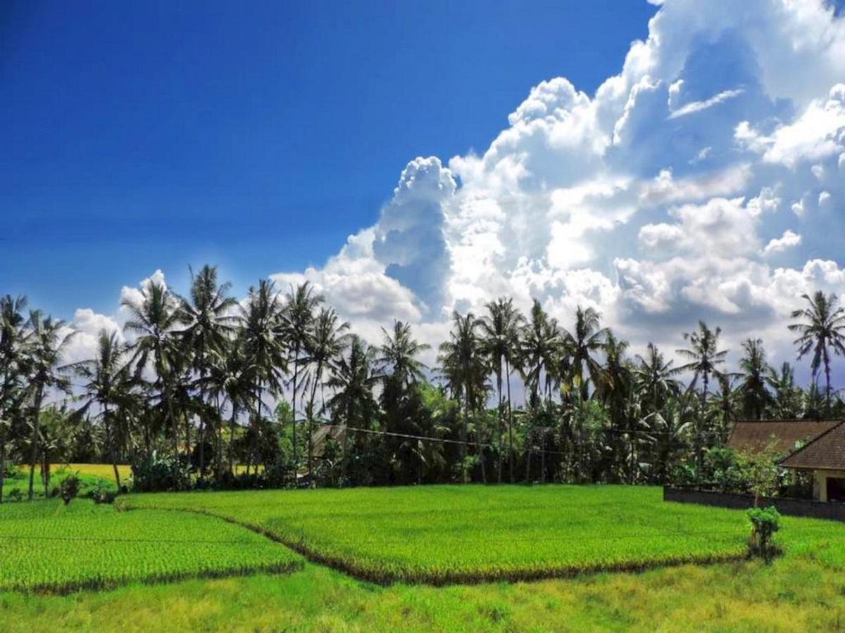 Pondok Ayu Soca Ubud  Bagian luar foto